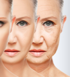 אסתטיקה מושלמת: מטיפולים אסתטיים ועד ניתוחים פלסטיים-תמונה